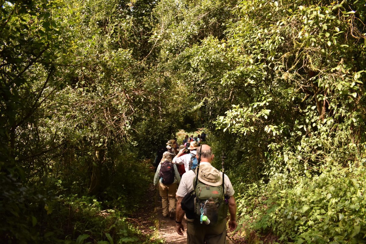 9 DAYS MOUNT KILIMANJARO NORTHERN CIRCUIT