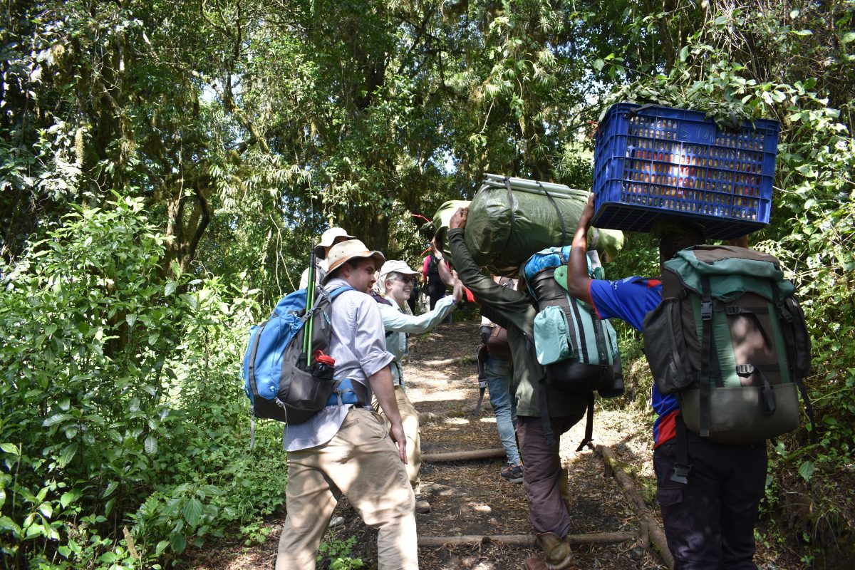 8 DAYS MOUNT KILIMANJARO NORTHERN CIRCUIT