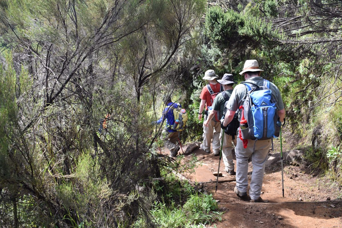 6 DAYS MOUNT KILIMANJARO MACHAME ROUTE