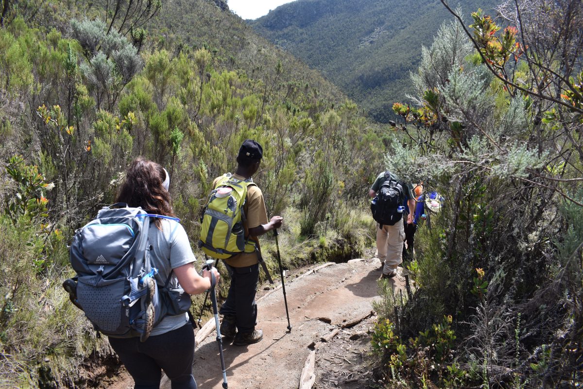 6 DAYS MOUNT KILIMANJARO UMBWE ROUTE