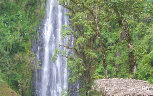 MATERUNI WATERFALL & COFFEE TOUR