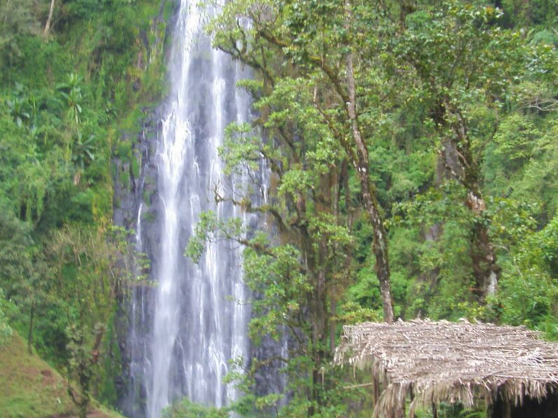 MATERUNI WATERFALL & COFFEE TOUR