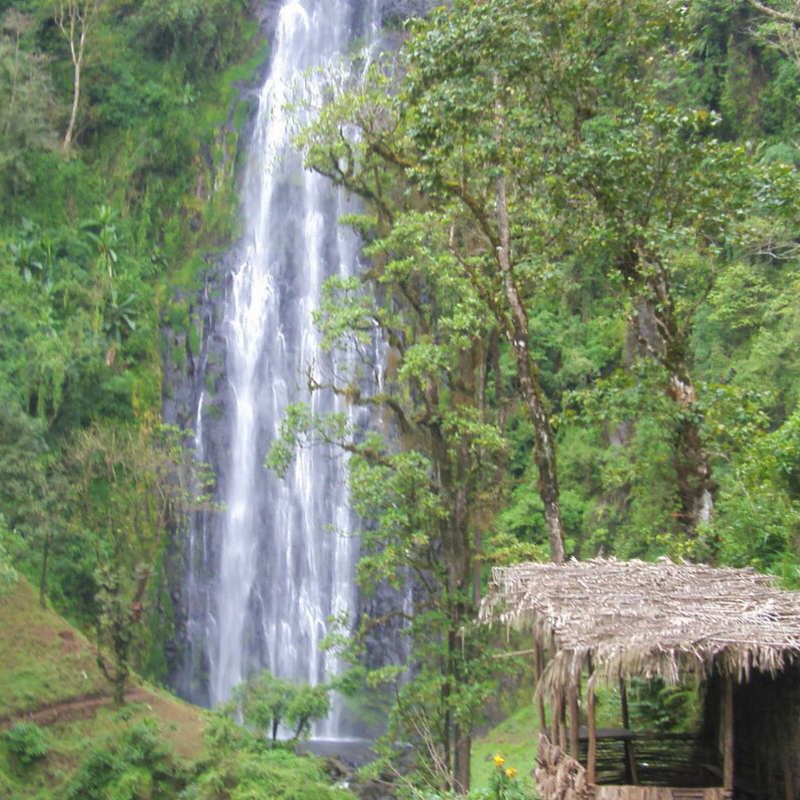 MATERUNI WATERFALL & COFFEE TOUR